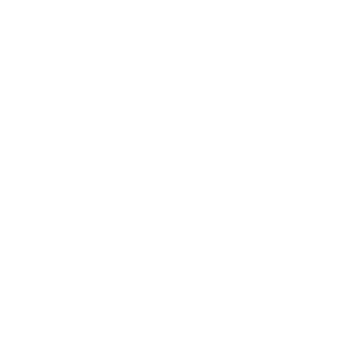 CV